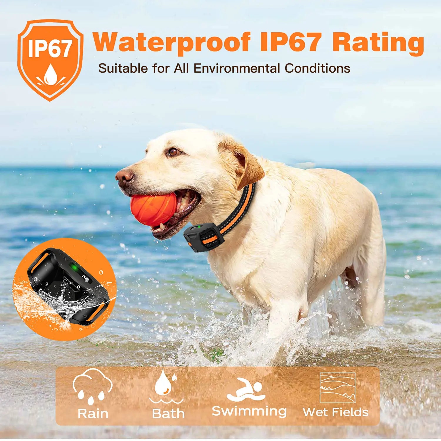 Remote Control Electric Dog Training Collar