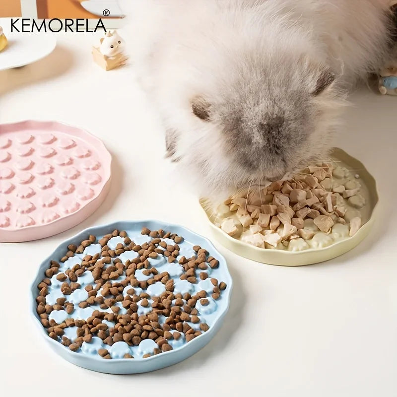 Ceramic Slow Feed pet Bowl -
