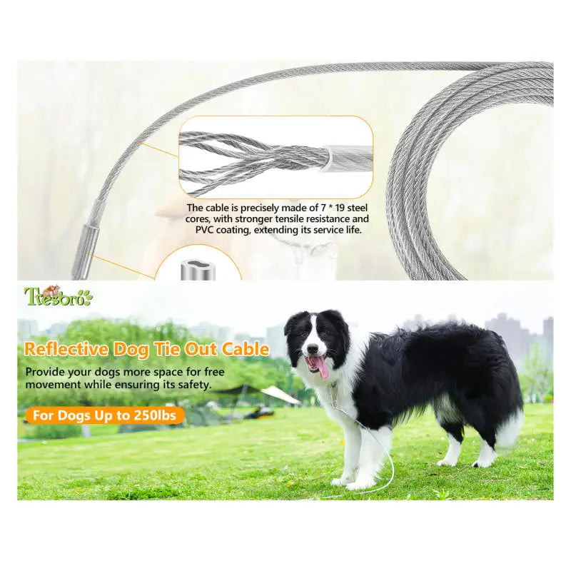 Double-headed Dog Tie Out Cable Leash