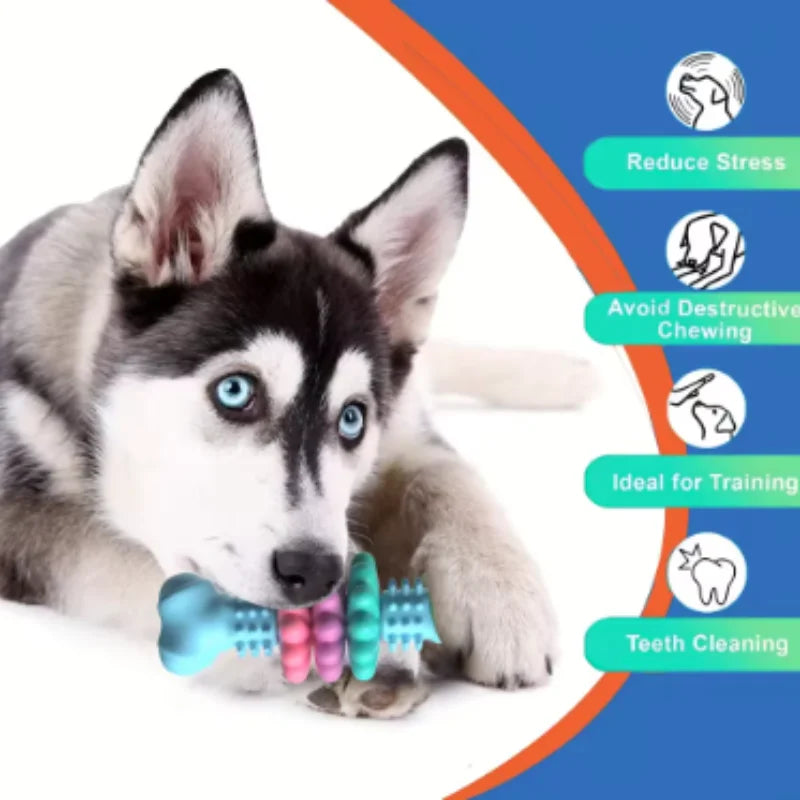 Dog Chew Toy Squeaky Bones