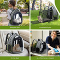 Cat Bubble Backpack Carrier
