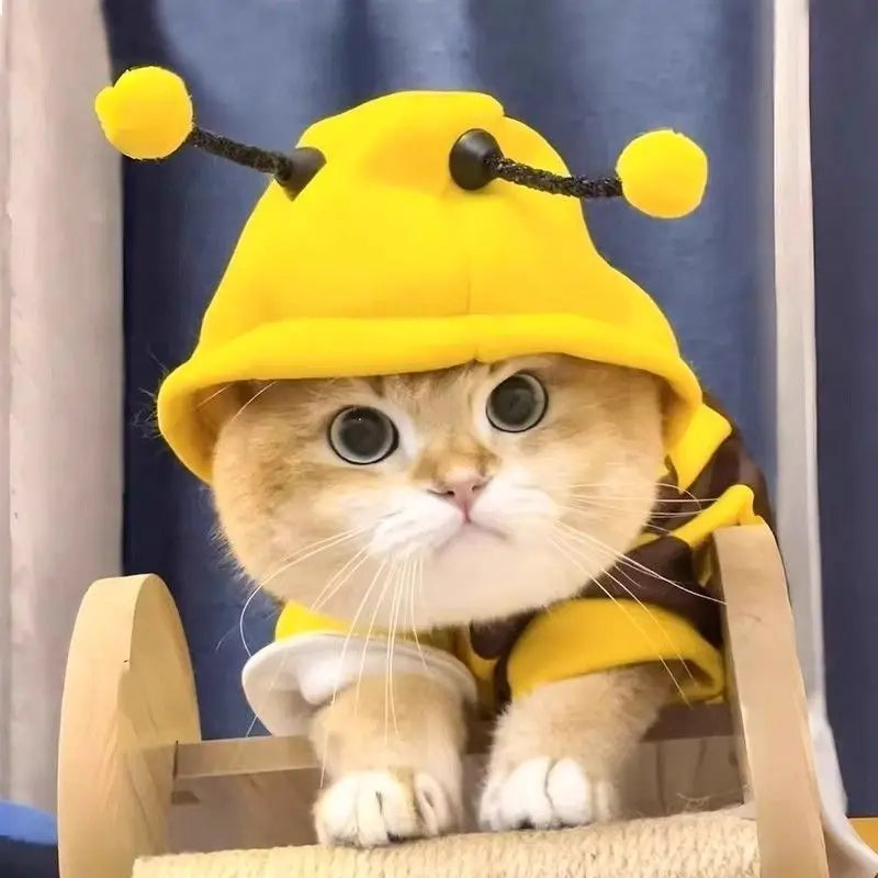 Pet Sweatshirt Bee Design