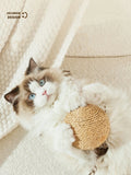 Cat Teeth Cleaning Toy