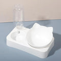 Automatic Pet Food Bowl