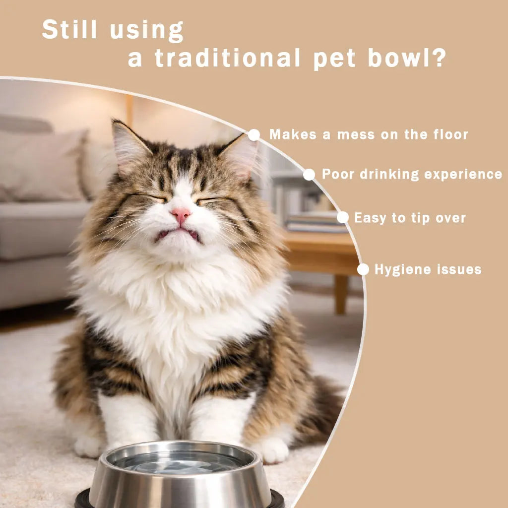 Anti-Choking Slow Feeder Dog Bowl