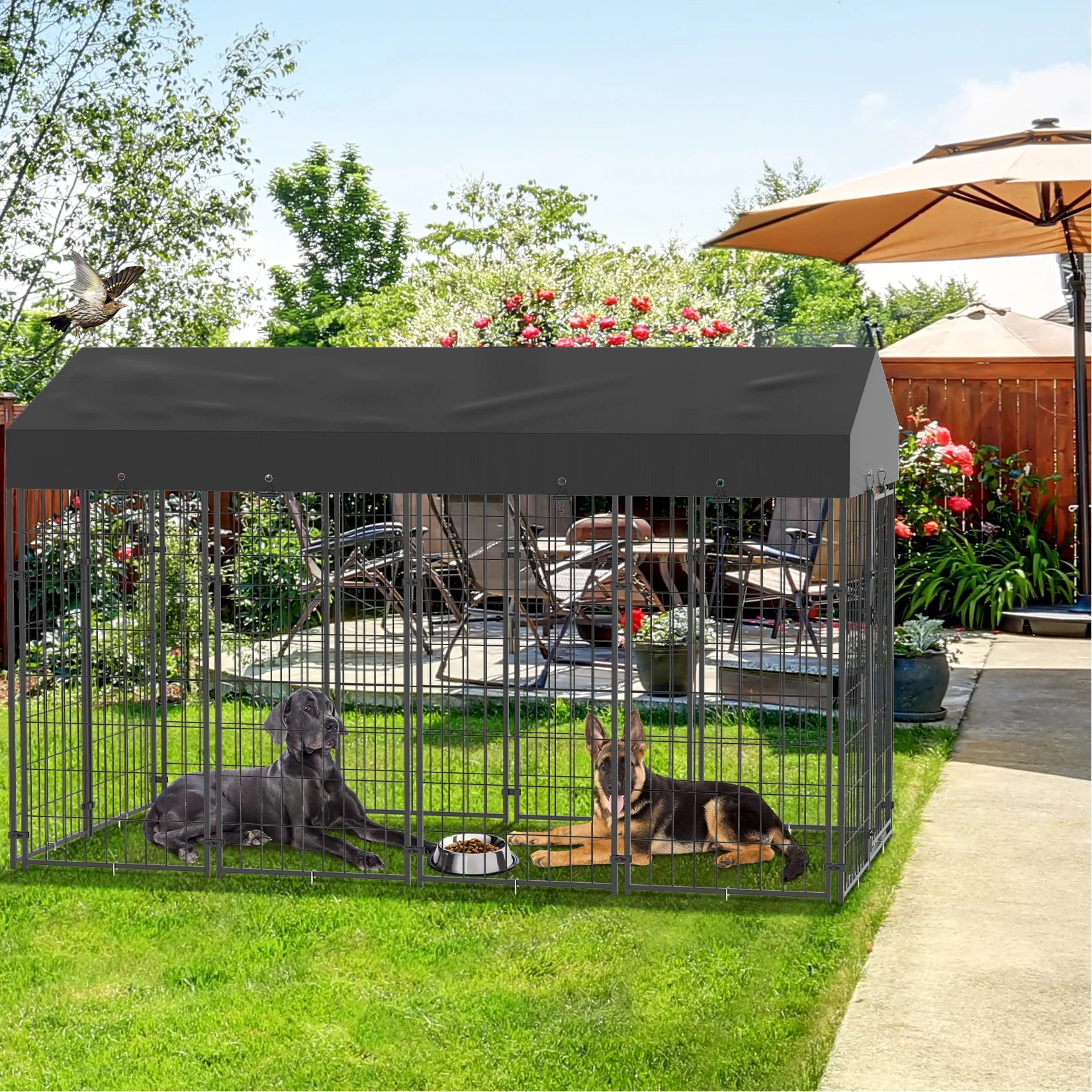 Large Dog Kennel Outdoor