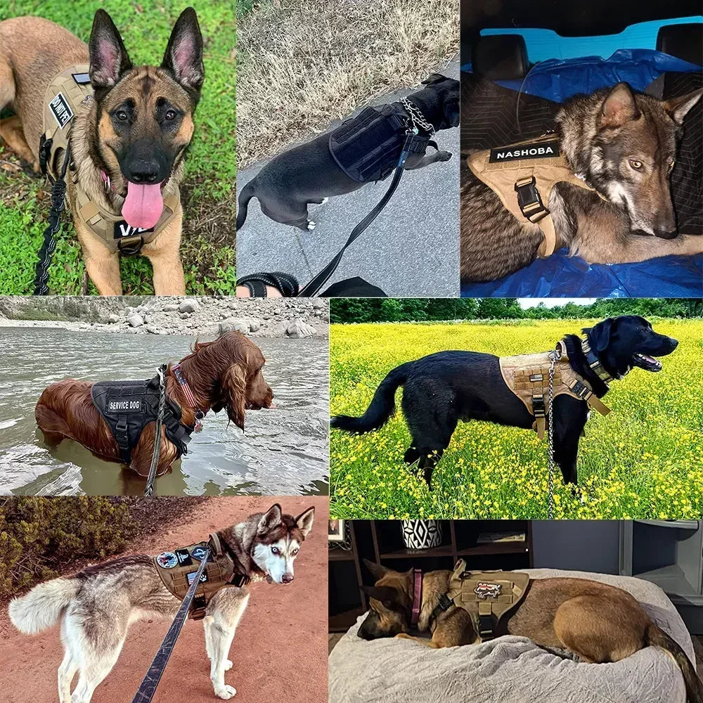 Tactical Dog Harness Leash Collar