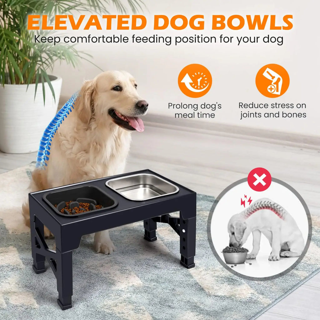Elevated Slow Feeder Dog Bowls,