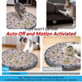 Interactive Cat Ball, Fast Rolling