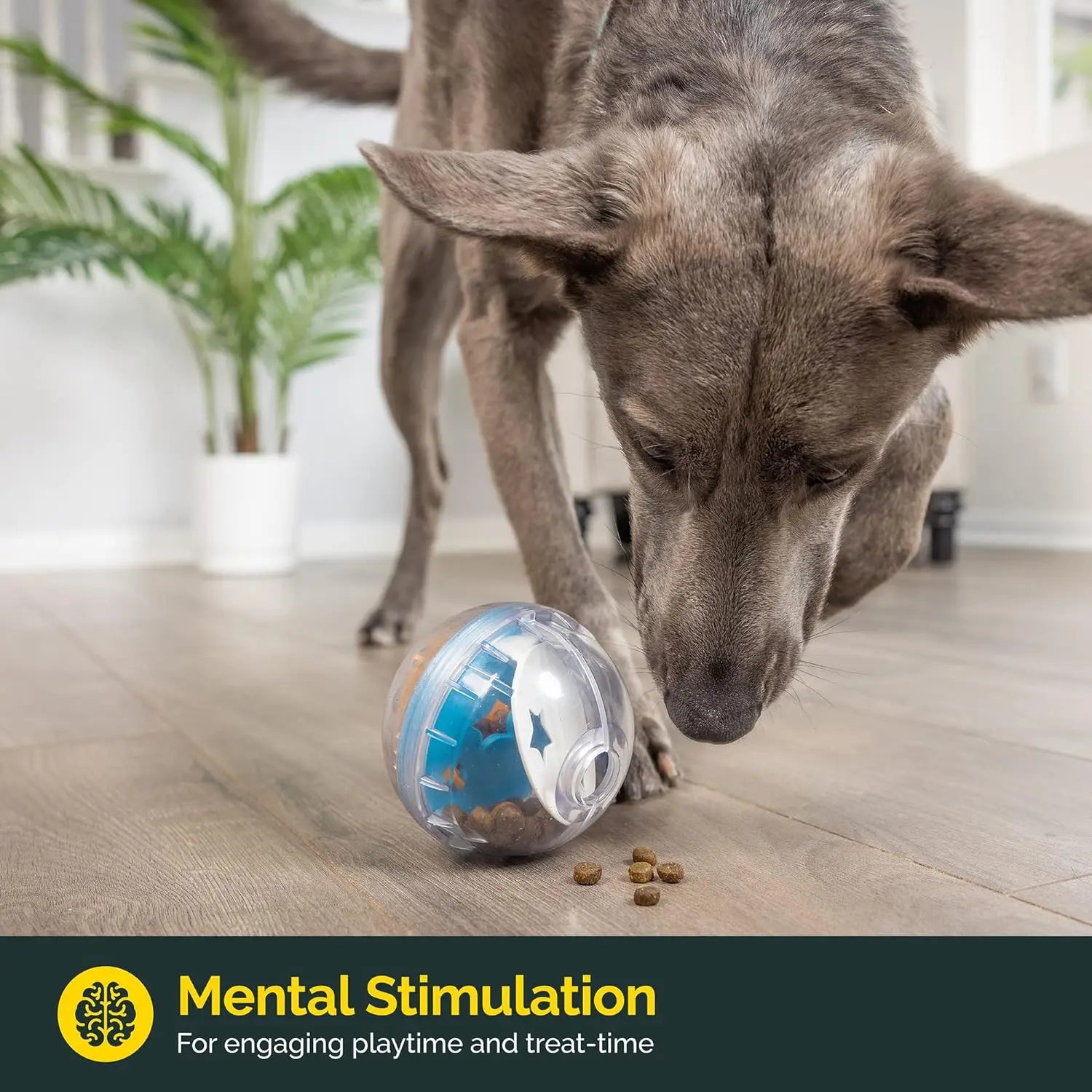Dog Treat Dispenser Ball