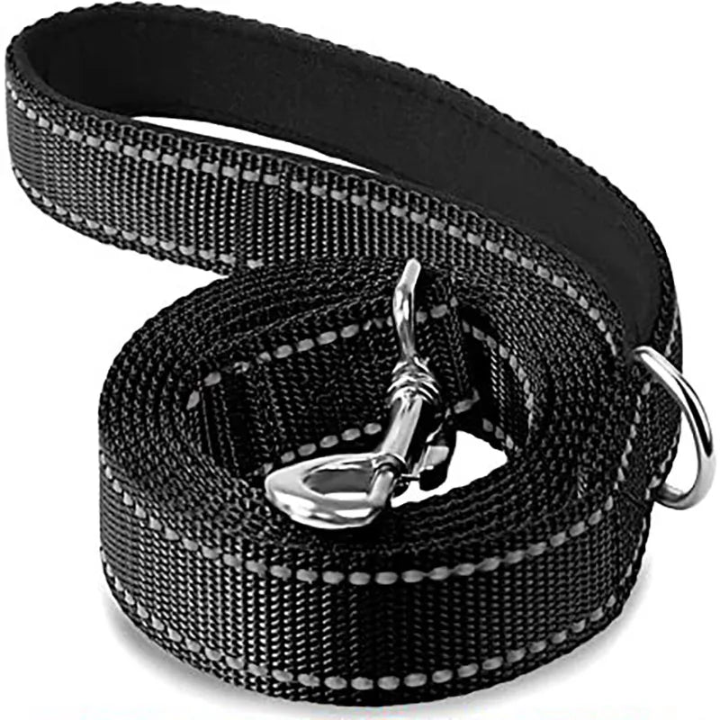 Night Reflection Dog Leash