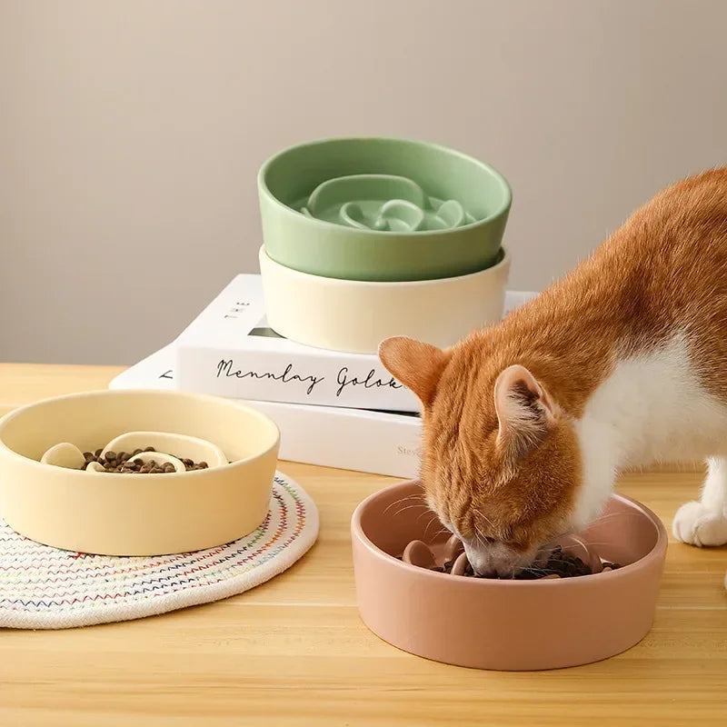 Pet Slow Feeding Anti-Choke Bowl