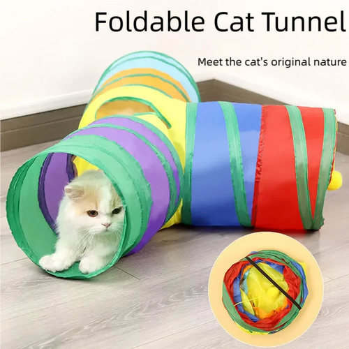 Cat Tunnel fun and to Reduce Anxiety