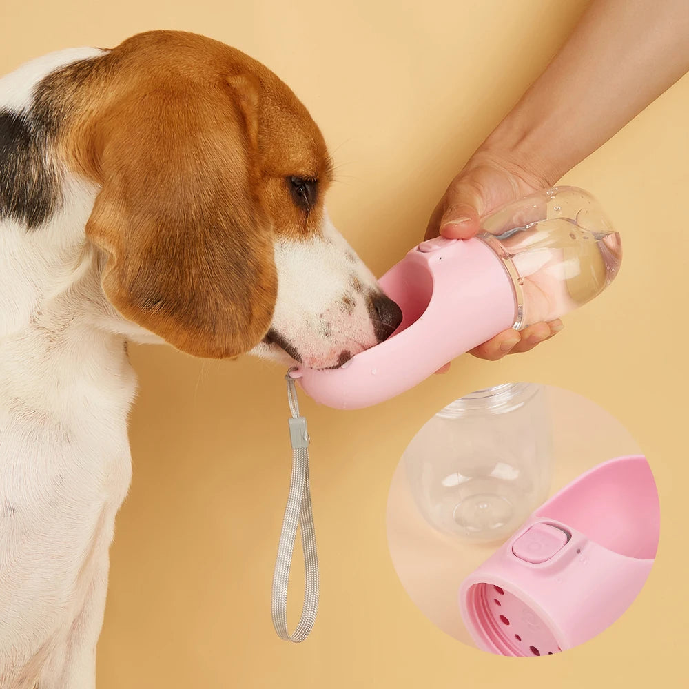 Pet Water Feeder Bowls