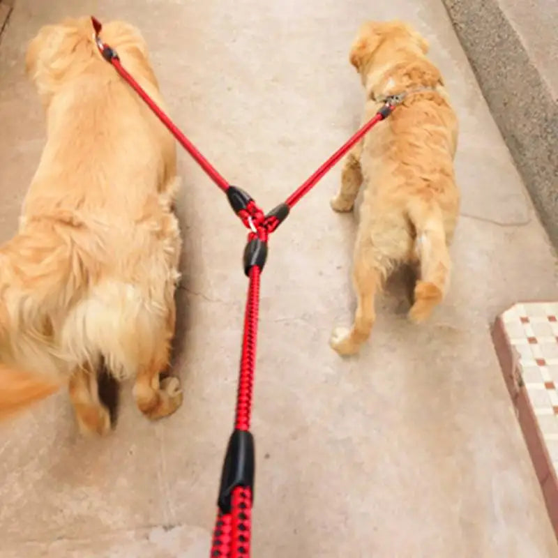 Dog Double Leash Elastic Extended