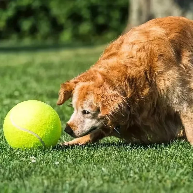 Giant Tennis Ball Pet Toy