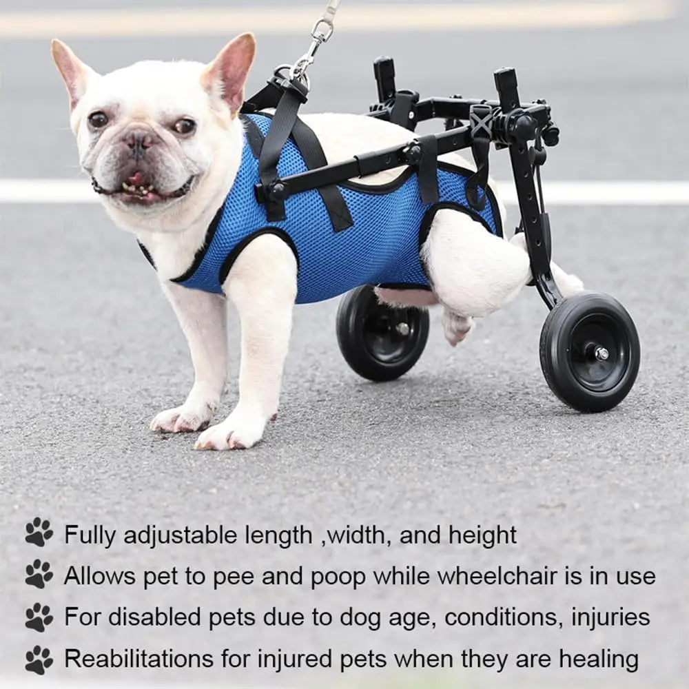 Adjustable Small Dog Wheelchair -