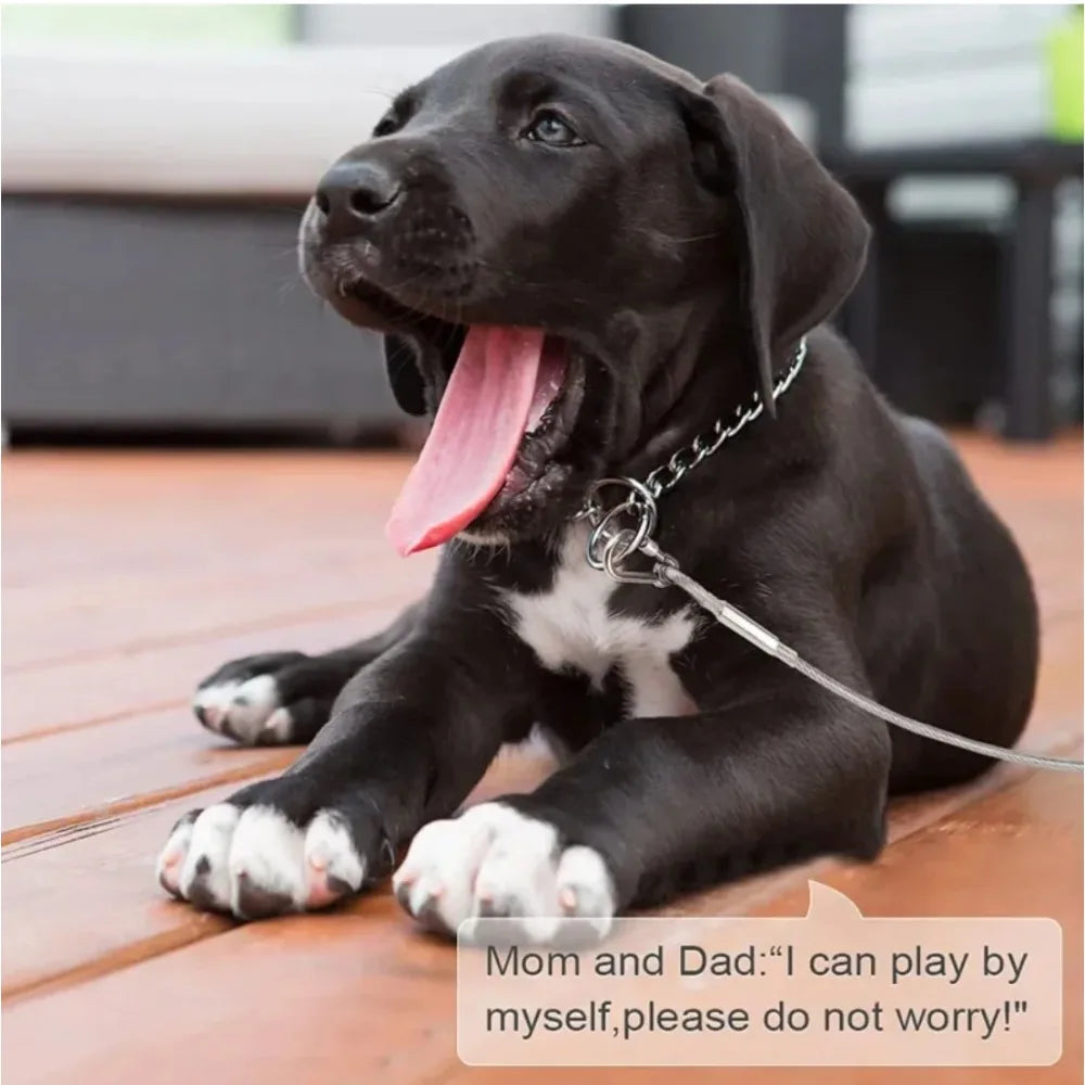 Double-headed Dog Tie Out Cable