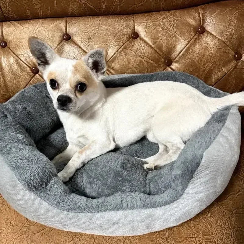Soft Pet Beds