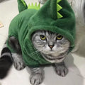Pet  Jumpsuits for Small cats and dogs
