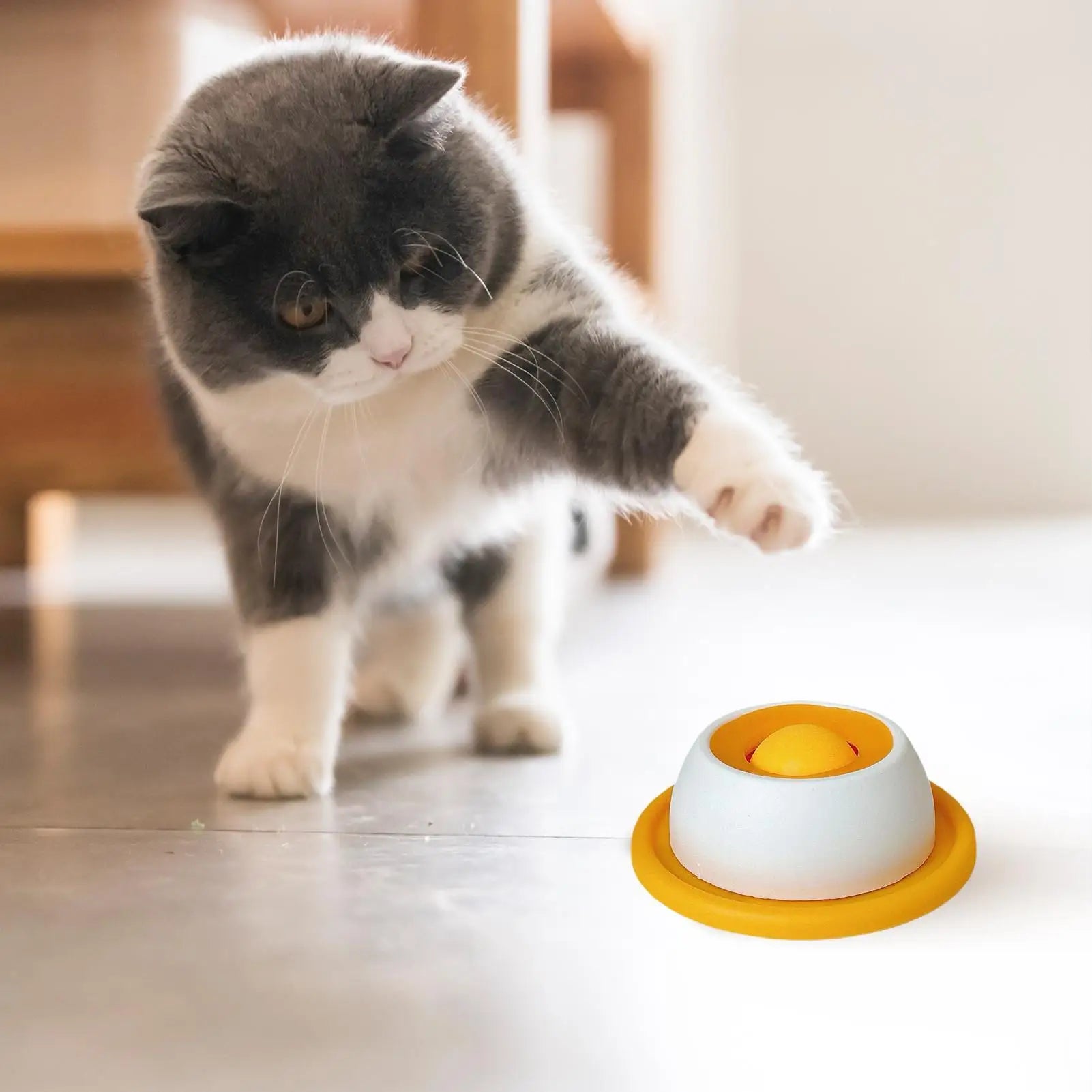 Pet Feeding Treat  Puzzle