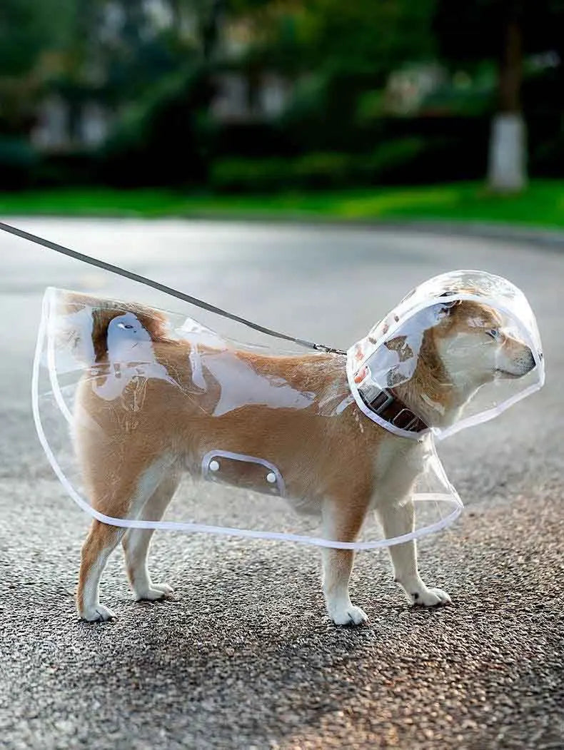 Pet waterproof raincoat with hat