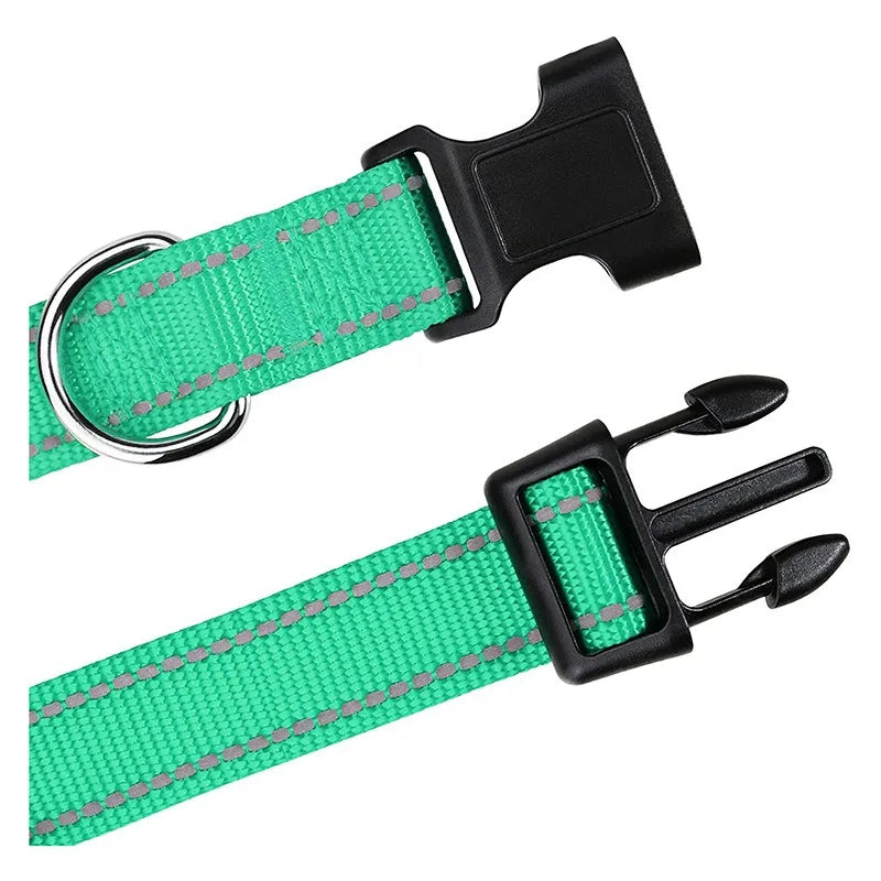 Choker Small Dog Collar