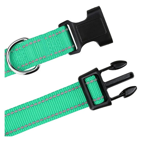 Choker Small Dog Collar