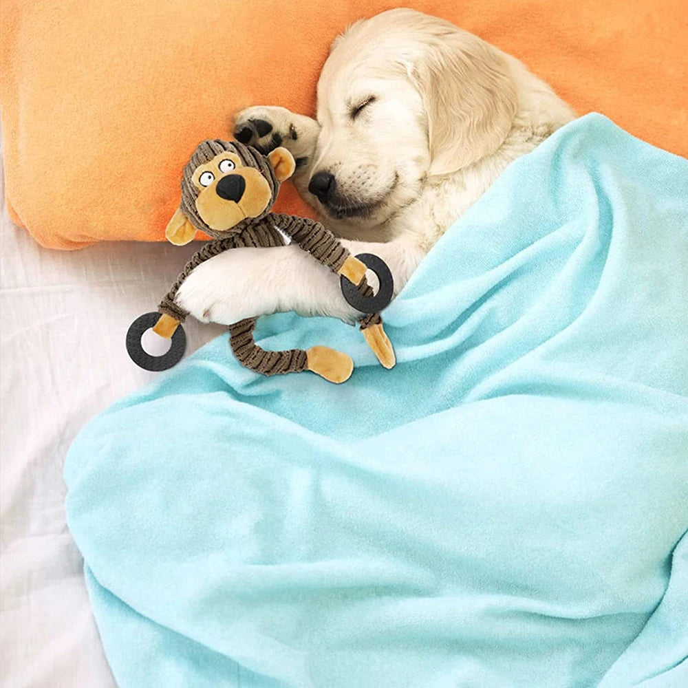 Squeaky Chew Toys