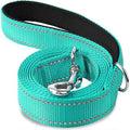 Night Reflection Dog Leash