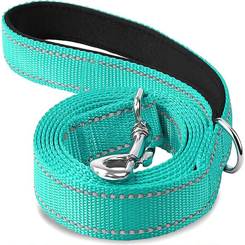 Night Reflection Dog Leash