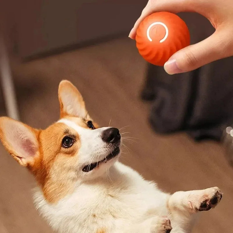 Automatic Dog Toy Rolling Ball