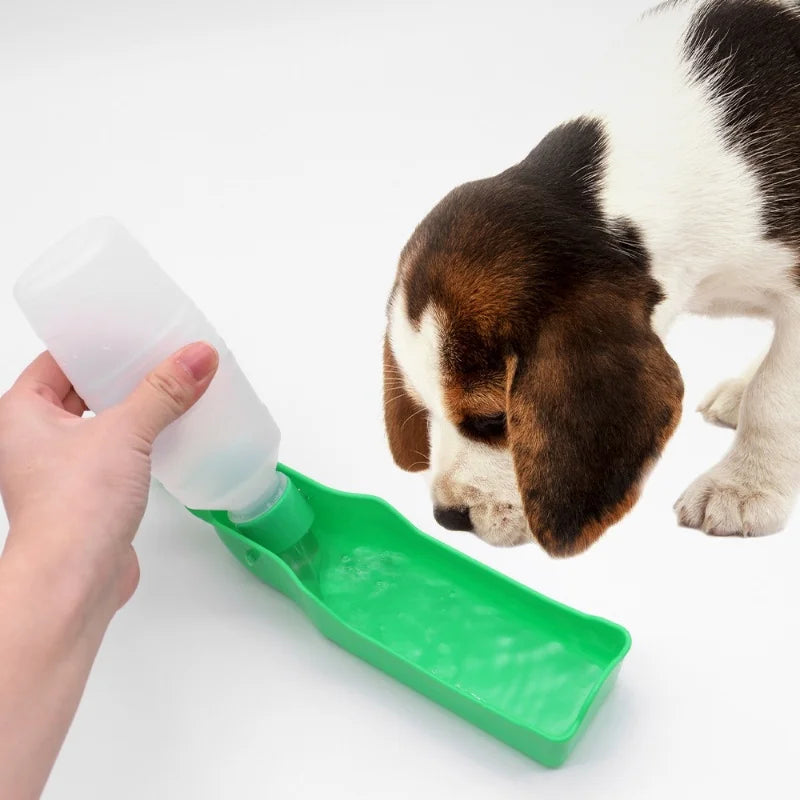 Portable Dog Water Bottle