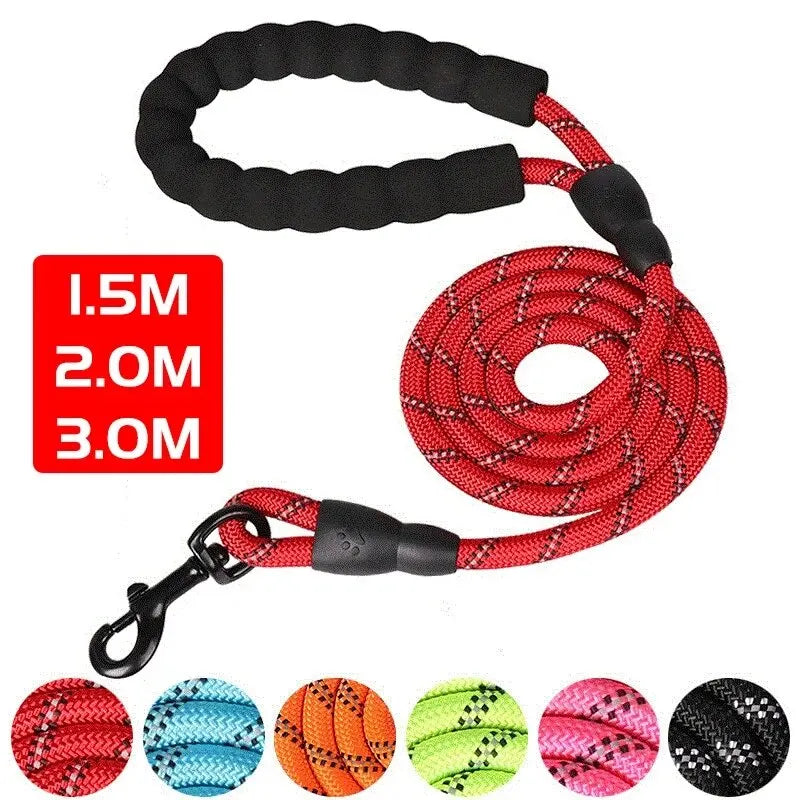 Reflective Dog Leash With Padded Handle -