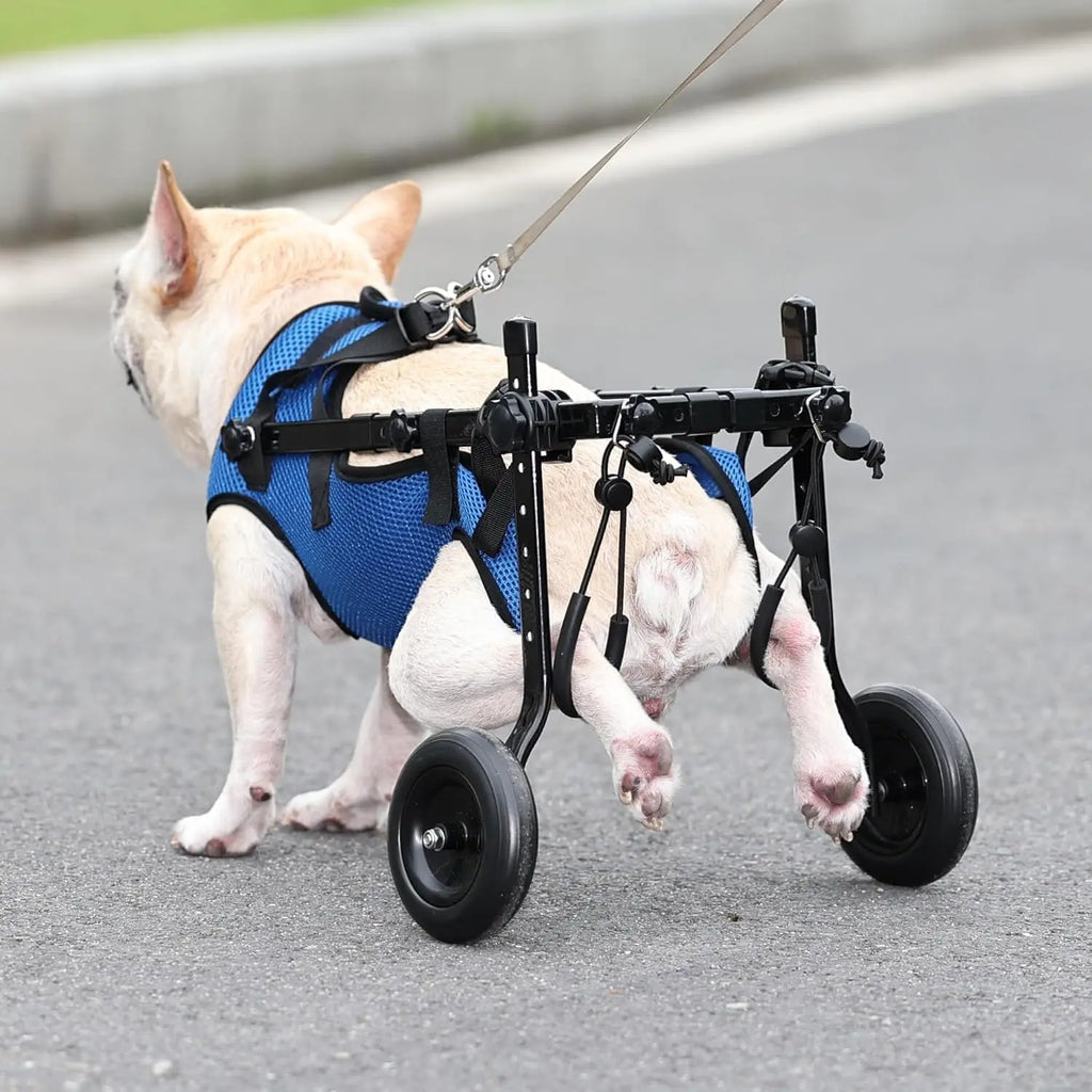 Adjustable Small Dog Wheelchair -