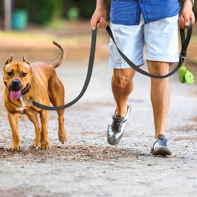 Night Reflection Dog Leash
