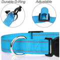 Choker Small Dog Collar