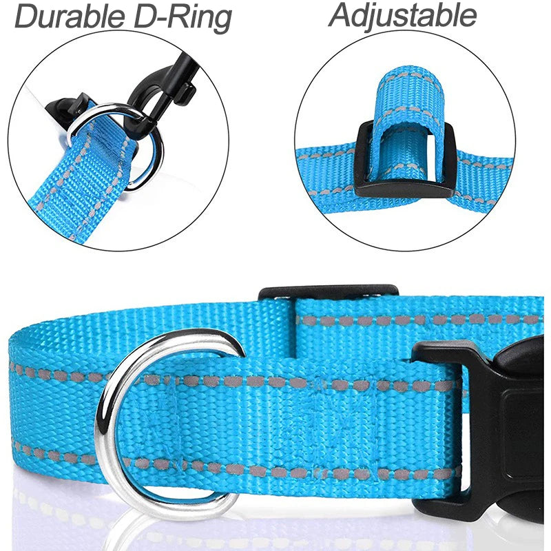 Choker Small Dog Collar