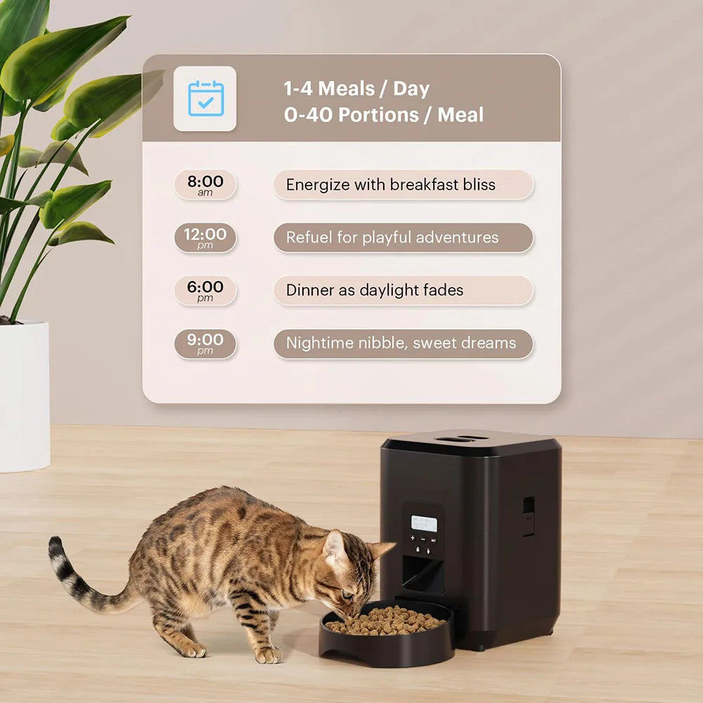 Timed Pet Feeder