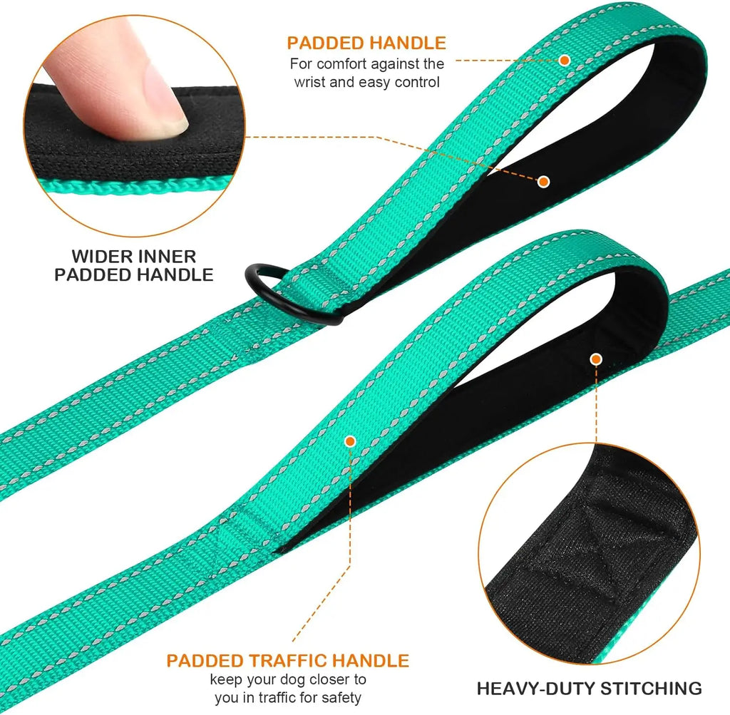 6FT Heavy Duty Dog Leash for Large, Medium Dogs,
