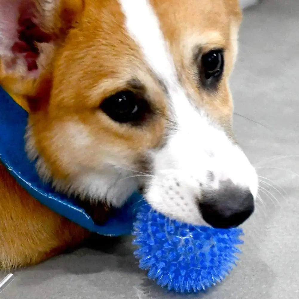 Dog Tooth Cleaning Ball