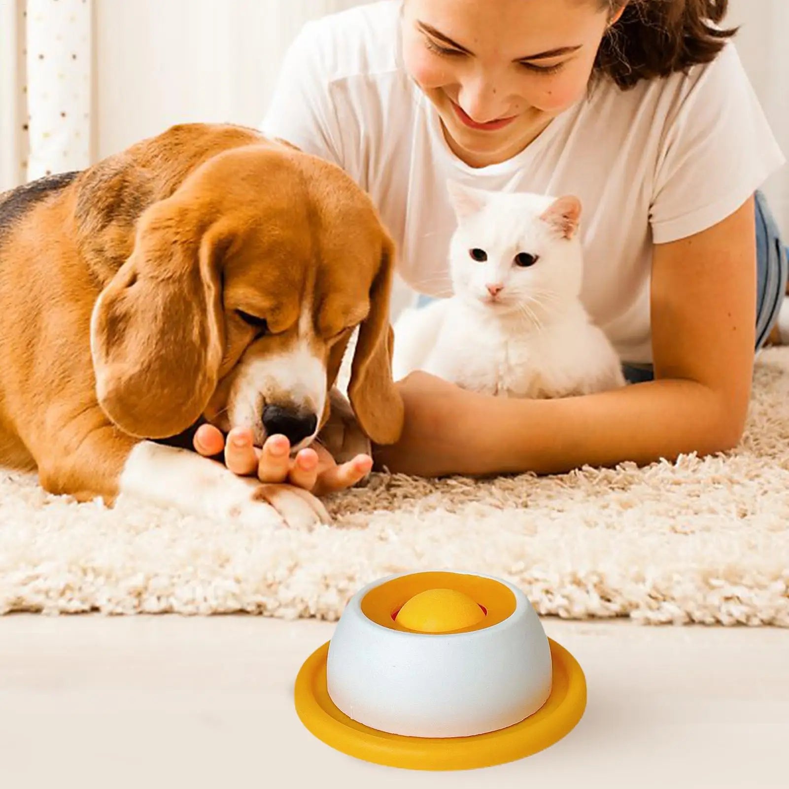 Pet Feeding Treat  Puzzle