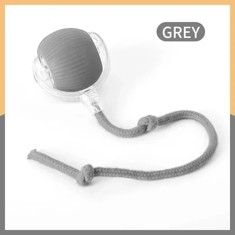 Pet Interactive Ball Toy
