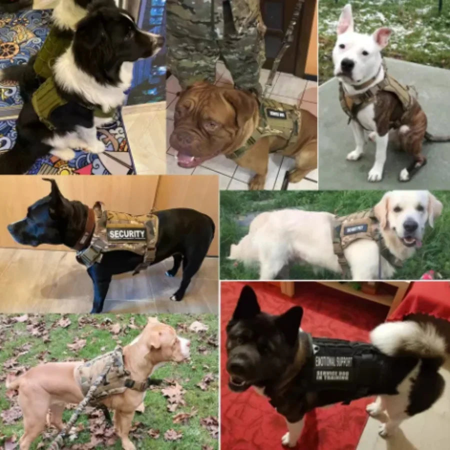 Tactical Dog Harness Leash Collar