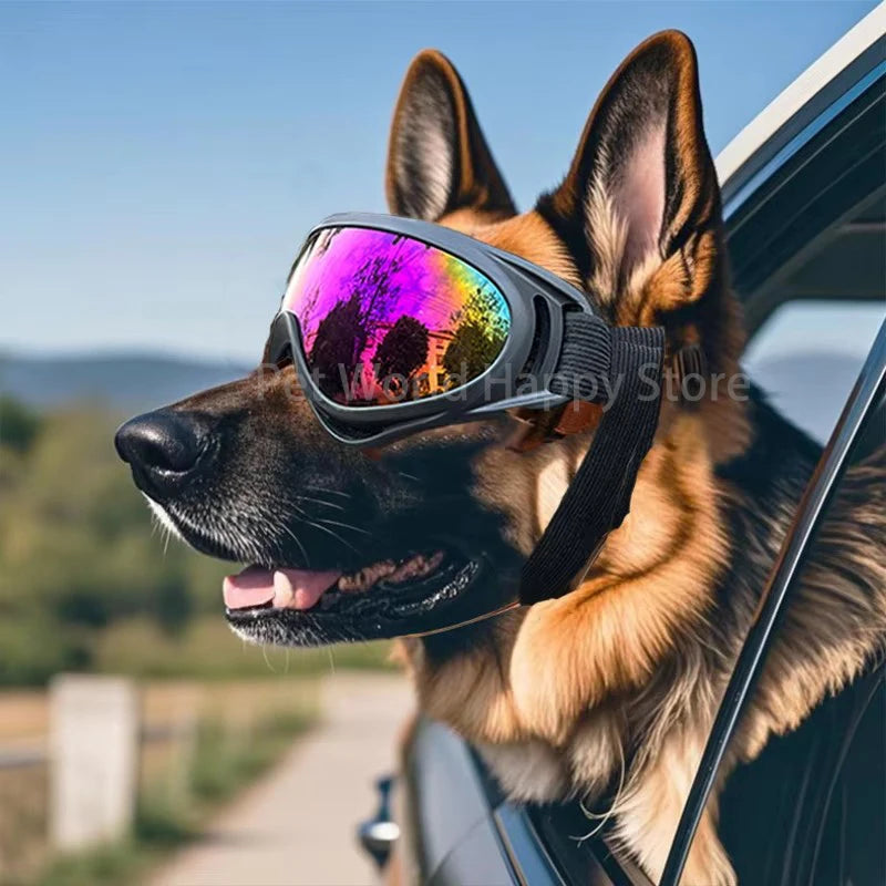 Pet Goggles Outdoor Riding