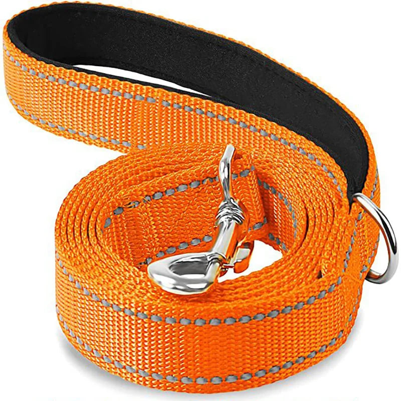 Night Reflection Dog Leash