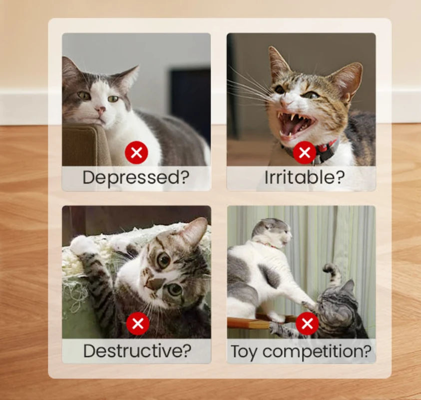 Cat  grinding catnip Toys