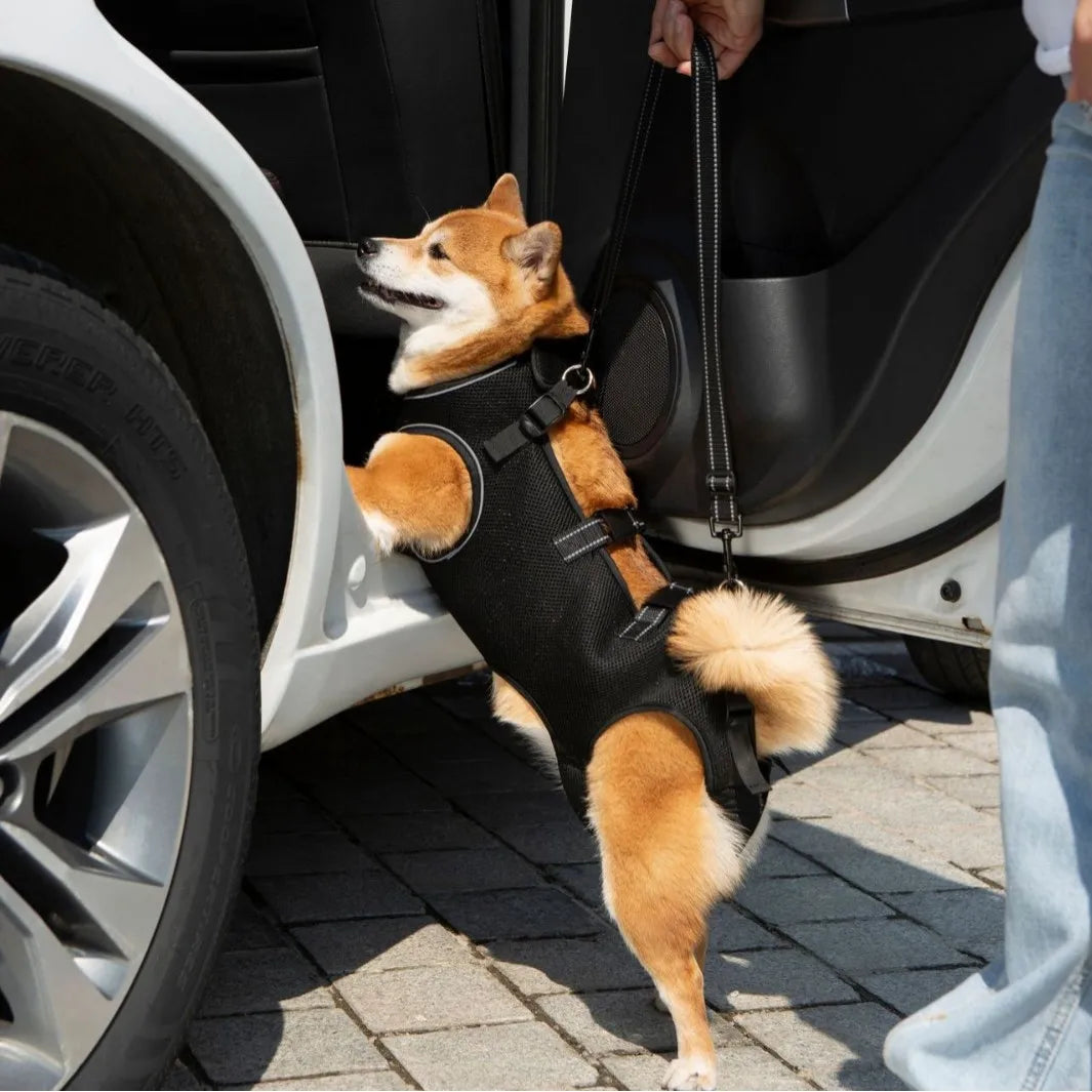Dog Lift Harness,for Assistance