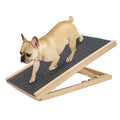 Pet Ramp for Couch or Bed