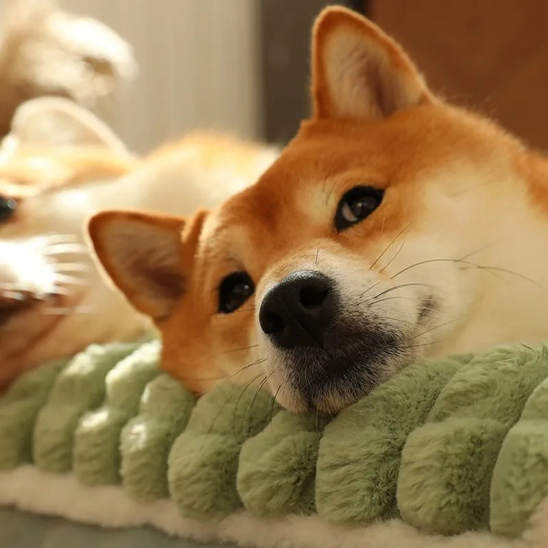 Washable pet bed mat, dogs and cats